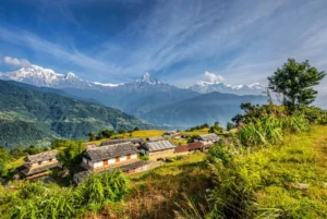 Read more about the article Darap Village: Where Peace Finds Its True Home