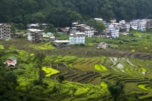 Read more about the article Dentam Valley: A Symphony of Green and Mountain Dreams
