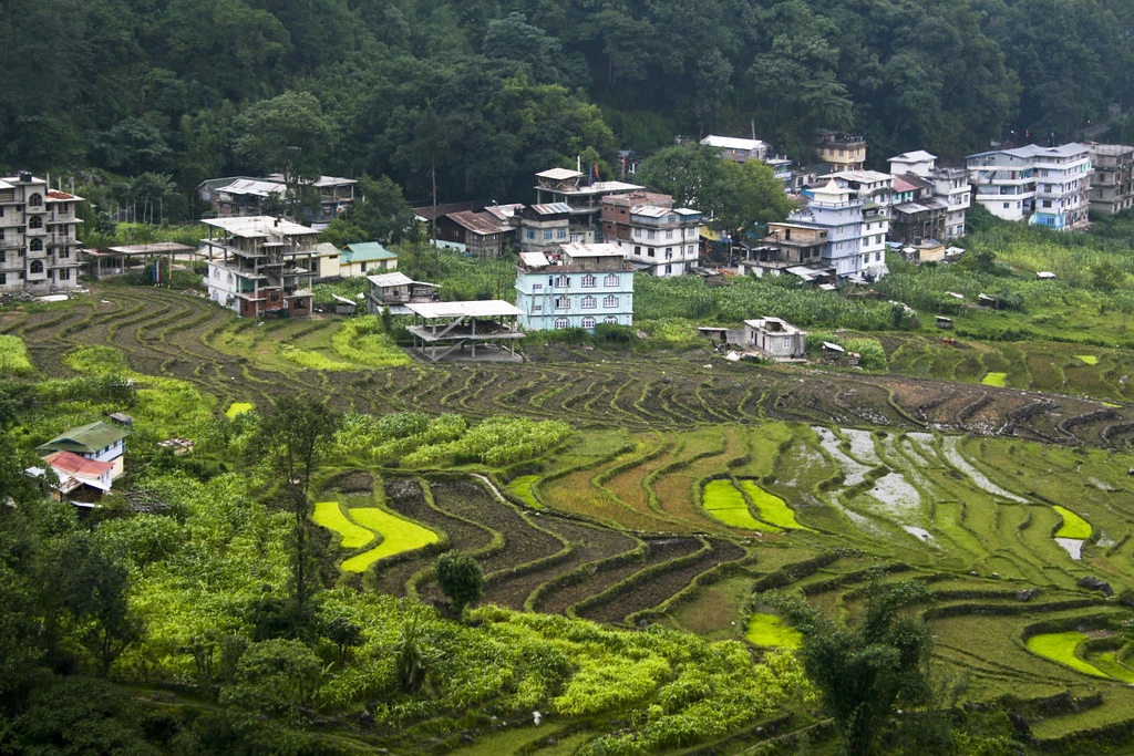 Read more about the article Dentam Valley: A Symphony of Green and Mountain Dreams