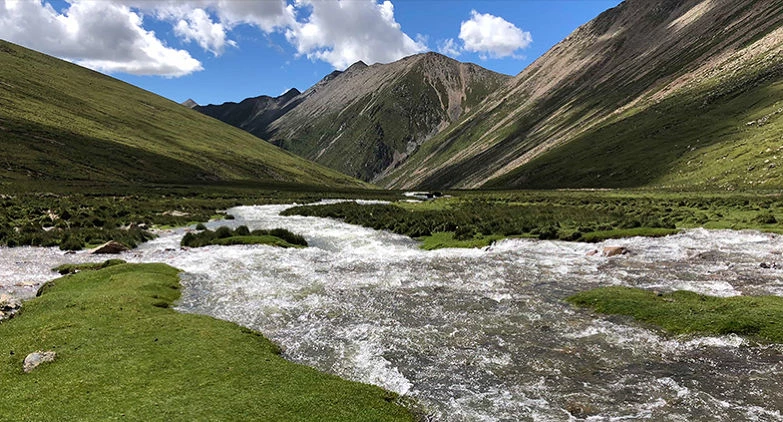 You are currently viewing Dzongri: The Whispering Town of the Himalayas