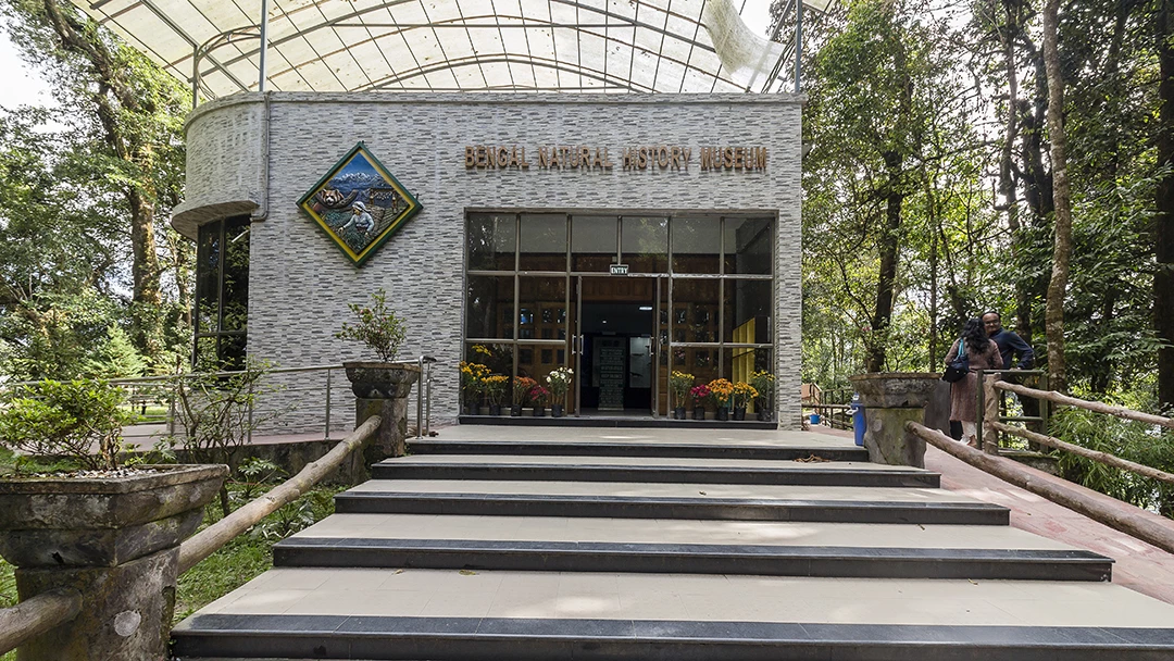 You are currently viewing Heritage of Bengal on Display: Bengal History Museum