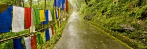 Read more about the article Ranipool : Where Every Corner Tells a Tale
