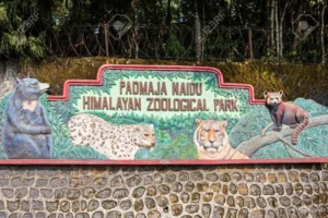 Read more about the article Witness Nature’s Majesty at Padmaja Naidu Zoological Park
