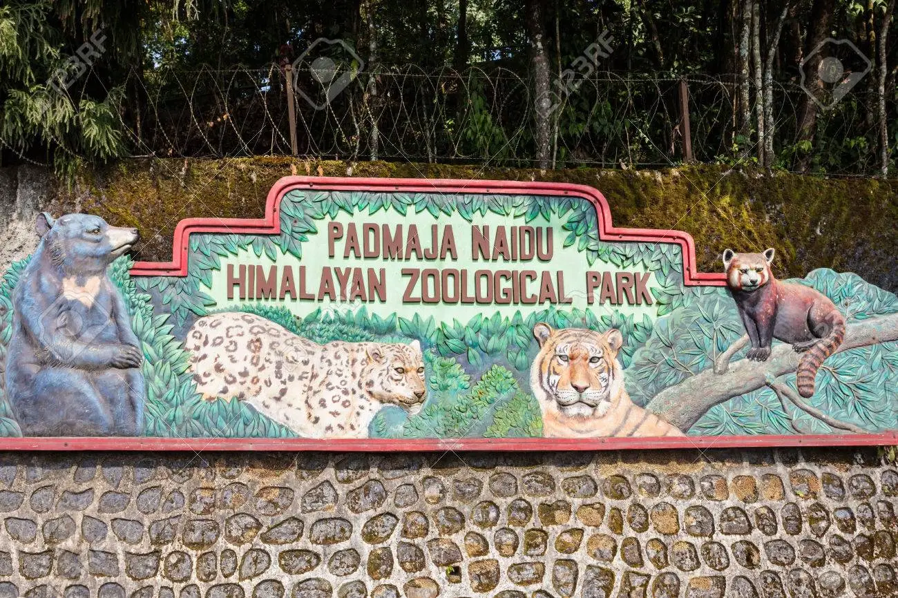 You are currently viewing Witness Nature’s Majesty at Padmaja Naidu Zoological Park