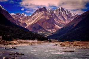 Read more about the article Yumthang Valley: Where Spring Dreams Become Reality